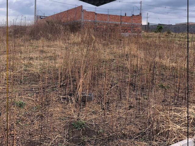 #1134 - Área para Venda em Abadiânia - GO - 3