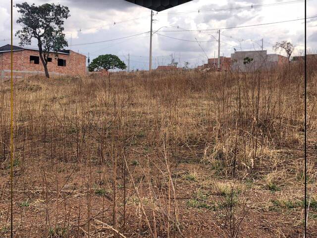#1133 - Área para Venda em Abadiânia - GO - 3