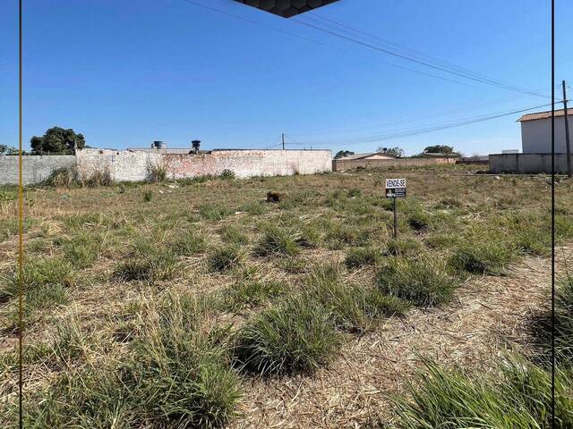 #1136 - Área para Venda em Abadiânia - GO