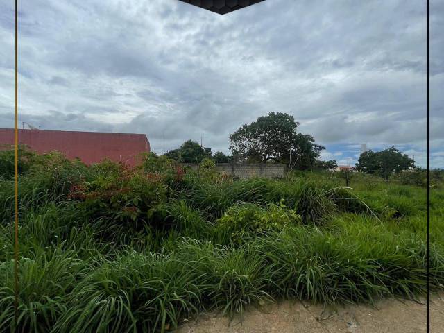 #1151 - Área para Venda em Abadiânia - GO - 3